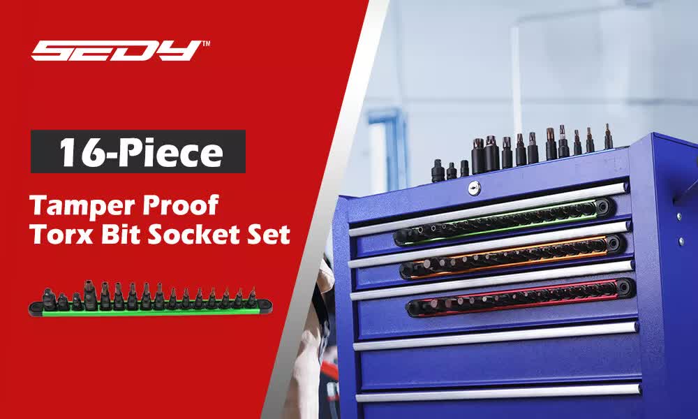 16-Piece Torx Star Bit Socket Magnetic Socket Rail Organizer T8-T60