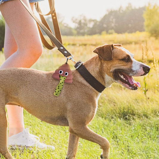 Pet Dog Poop Dispenser and 15 Biodegradable Unscented Waste Bags