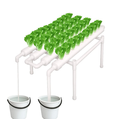 36 Sites Hydroponic Grow Tool Kits Vegetable Garden System 220V Water Pump
