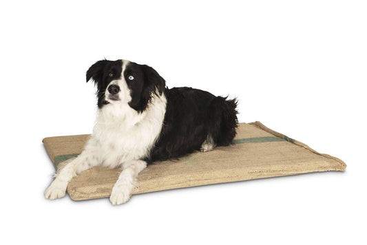 Large Hessian Pet Dog Puppy Bed Mat Pad House Kennel Cushion With FoamÂ 100 x 69 cm